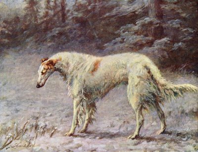 Champion Ivan Turgeneff by Maud Earl